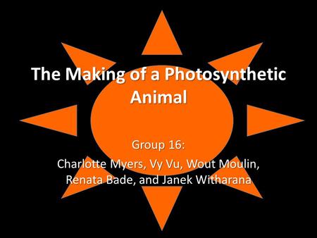 The Making of a Photosynthetic Animal Group 16: Charlotte Myers, Vy Vu, Wout Moulin, Renata Bade, and Janek Witharana.