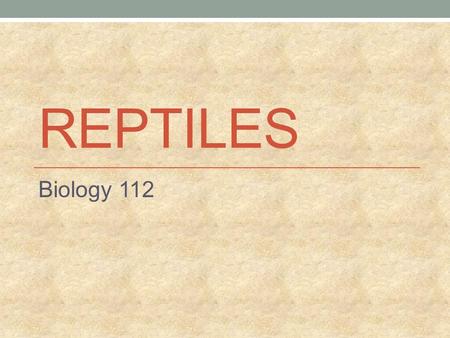 REPTILES Biology 112. The Evolution of Reptiles from Amphibians As Earth became drier, amphibians started to die out New habitats for reptiles emerged.