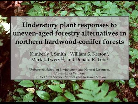Understory plant responses to uneven-aged forestry alternatives in northern hardwood-conifer forests Kimberly J. Smith 1, William S. Keeton 1, Mark J.