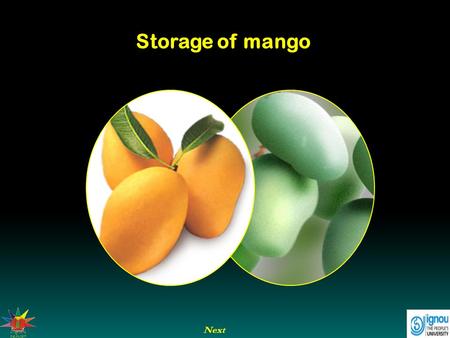 Storage of mango Next.