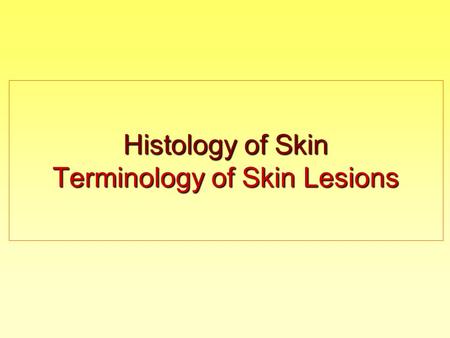 Histology of Skin Terminology of Skin Lesions