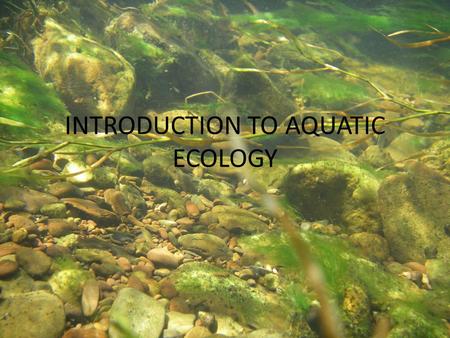 INTRODUCTION TO AQUATIC ECOLOGY. Water on Earth Uneven Global Distribution of Fresh Water.