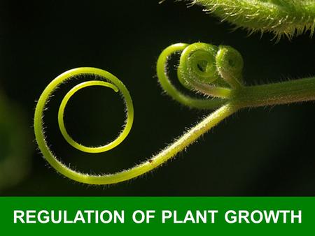 REGULATION OF PLANT GROWTH