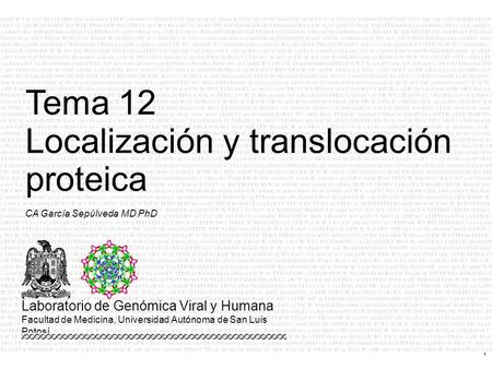 1 CA García Sepúlveda MD PhD Tema 12 Localización y translocación proteica Laboratorio de Genómica Viral y Humana Facultad de Medicina, Universidad Autónoma.