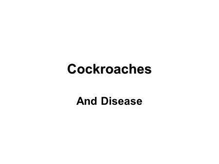 Cockroaches And Disease. Basics Order: Blattaria 4000 species worldwide 57 species in the U.S. 18 species have become serious domestic pests The most.