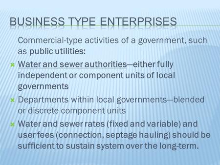 Commercial-type activities of a government, such as public utilities:  Water and sewer authorities—either fully independent or component units of local.