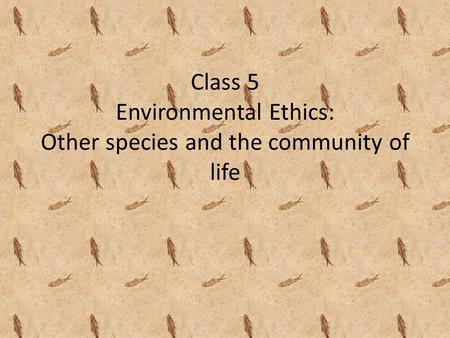 Class 5 Environmental Ethics: Other species and the community of life.