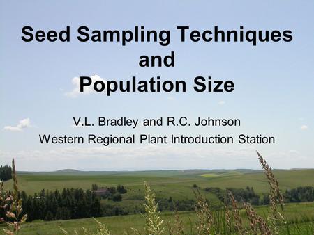 Seed Sampling Techniques and Population Size V.L. Bradley and R.C. Johnson Western Regional Plant Introduction Station.