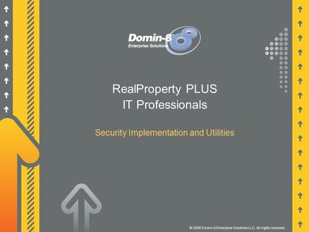 RealProperty PLUS IT Professionals Security Implementation and Utilities © 2009 Domin-8 Enterprise Solutions LLC. All rights reserved.