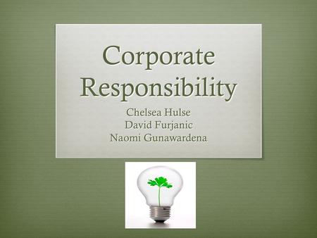 Corporate Responsibility Chelsea Hulse David Furjanic Naomi Gunawardena.