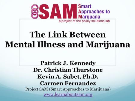 The Link Between Mental Illness and Marijuana Patrick J. Kennedy Dr. Christian Thurstone Kevin A. Sabet, Ph.D. Carmen Fernandez Project SAM (Smart Approaches.