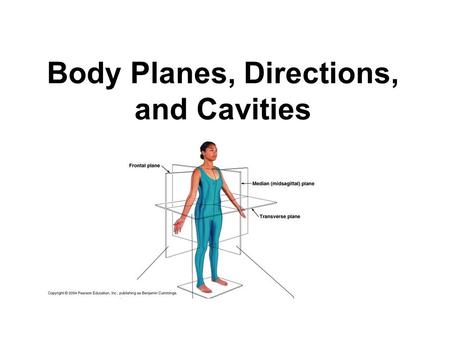 Body Planes, Directions, and Cavities. Basic Terms to Know… Anatomy- study of the structure and shape of the body and its parts Physiology-study of how.