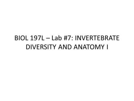 BIOL 197L – Lab #7: INVERTEBRATE DIVERSITY AND ANATOMY I.