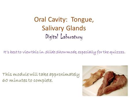 Oral Cavity: Tongue, Salivary Glands Digital Laboratory It’s best to view this in Slide Show mode, especially for the quizzes. This module will take approximately.