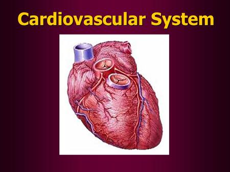 Cardiovascular System. Circulatory Functions: 1.To transport oxygen (O 2 ), nutrients (food), and waste products (like CO 2 ) throughout the body. 2.