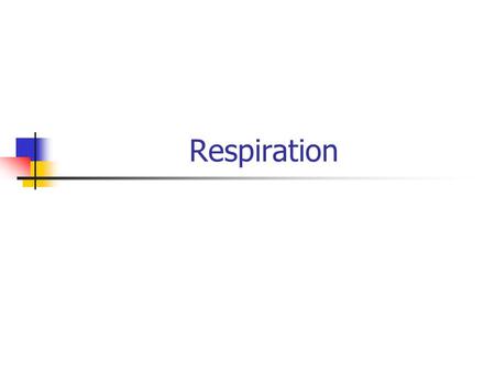 Respiration. How does respiration take place? There are two respiratory movements: Inspiration (inhalation) Expiration (exhalation) When you inhale, air.