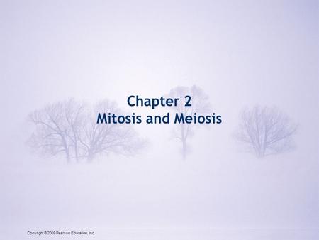 Copyright © 2009 Pearson Education, Inc. Chapter 2 Mitosis and Meiosis Copyright © 2009 Pearson Education, Inc.
