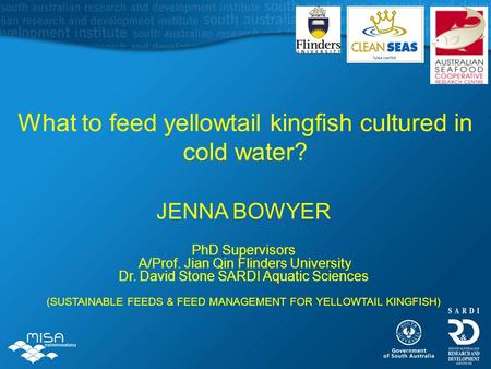 What to feed yellowtail kingfish cultured in cold water? JENNA BOWYER PhD Supervisors A/Prof. Jian Qin Flinders University Dr. David Stone SARDI Aquatic.