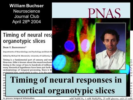 William Buchser Neuroscience Journal Club April 28 th 2004 Timing of neural responses in cortical organotypic slices.