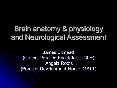 Brain anatomy & physiology and Neurological Assessment James Bitmead (Clinical Practice Facilitator, UCLH) Angela Roots Angela Roots (Practice Development.