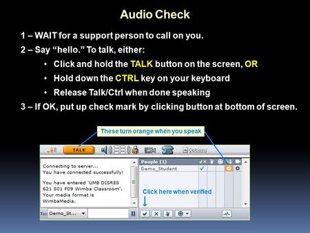 1 – WAIT for a support person to call on you. 2 – Say “hello.” To talk, either: Click and hold the TALK button on the screen, OR Hold down the CTRL key.