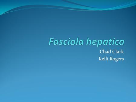 Chad Clark Kelli Rogers. Introduction Phylum: Platyhelminthes Class : Trematoda Flat Worm Infection results in a Liver Fluke Has important economic impacts.