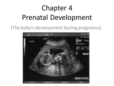 Chapter 4 Prenatal Development