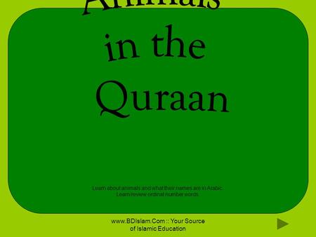 Www.BDIslam.Com :: Your Source of Islamic Education Learn about animals and what their names are in Arabic. Learn/review ordinal number words.