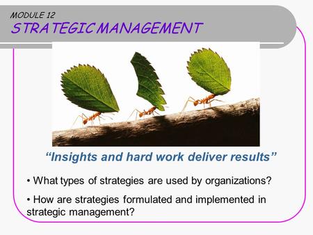 MODULE 12 STRATEGIC MANAGEMENT “Insights and hard work deliver results” What types of strategies are used by organizations? How are strategies formulated.