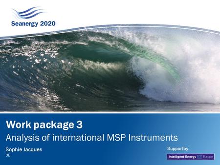 Work package 3 Analysis of international MSP Instruments Sophie Jacques 3E Support by: