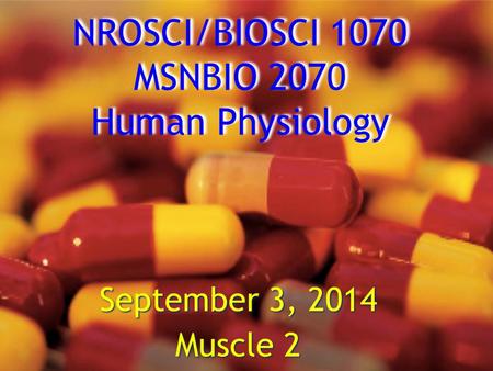 NROSCI/BIOSCI 1070 MSNBIO 2070 Human Physiology