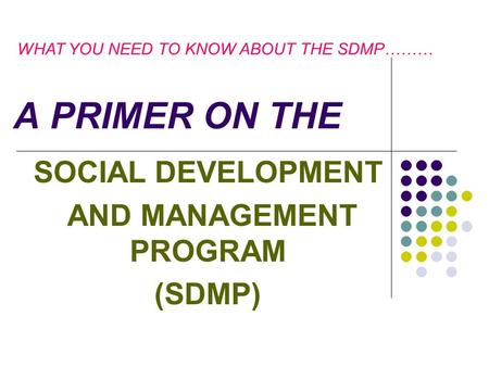 SOCIAL DEVELOPMENT AND MANAGEMENT PROGRAM (SDMP)