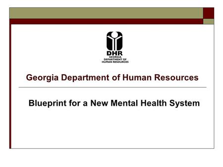 Georgia Department of Human Resources Blueprint for a New Mental Health System.