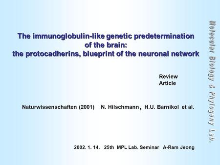 The immunoglobulin-like genetic predetermination of the brain: the protocadherins, blueprint of the neuronal network Naturwissenschaften (2001) N. Hilschmann,