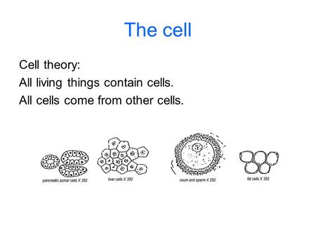 The cell Cell theory: All living things contain cells.