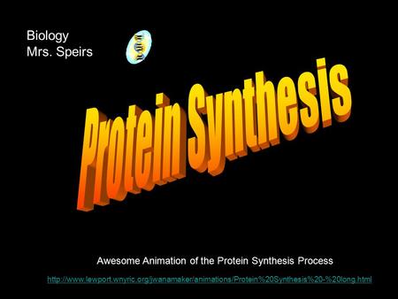 Awesome Animation of the Protein Synthesis Process Biology Mrs.