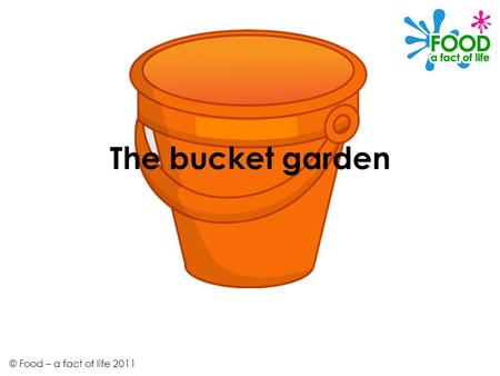 The bucket garden © Food – a fact of life 2011. Class B were learning all about potatoes. Mrs Begum was explaining that potatoes come from plants. Everyone.