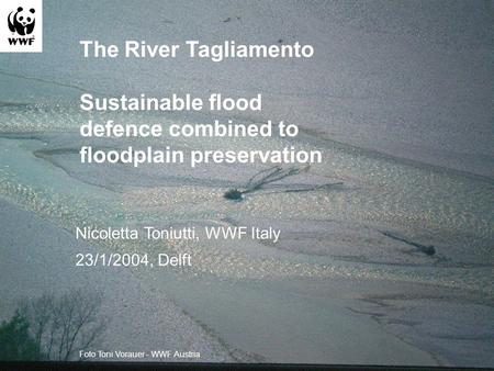 The River Tagliamento Sustainable flood defence combined to floodplain preservation Nicoletta Toniutti, WWF Italy 23/1/2004, Delft Foto Toni Vorauer -