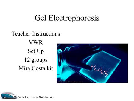 Salk Institute Mobile Lab Gel Electrophoresis Teacher Instructions VWR Set Up 12 groups Mira Costa kit.