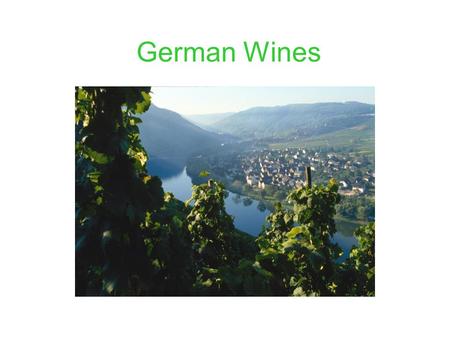 German Wines. Wine Areas of Germany Tonight's Journey Pfalz: Formerly known as the Rheinpfalz, this region has 59,000 acres under vines. Rich wines reflect.