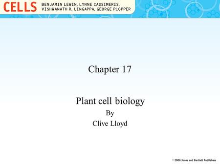Chapter 17 Plant cell biology By Clive Lloyd. 17.1 Introduction Plant and animal cells grow in fundamentally different ways. The tough cell wall prevents:
