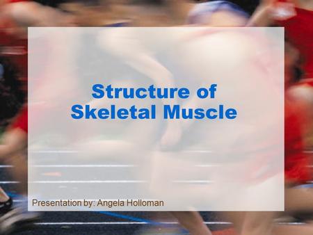 Structure of Skeletal Muscle Presentation by: Angela Holloman.