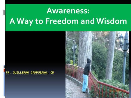 Awareness: A Way to Freedom and Wisdom DePaul Center 8009.