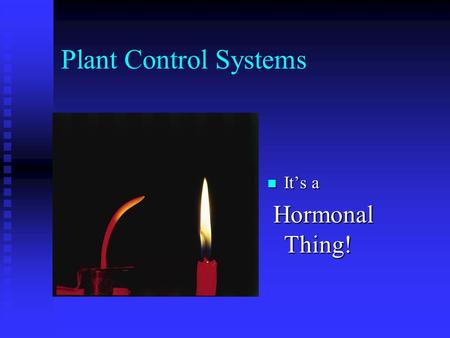 Plant Control Systems It’s a Hormonal Thing!.