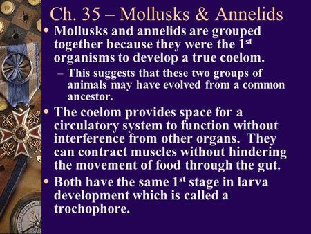 Ch. 35 – Mollusks & Annelids