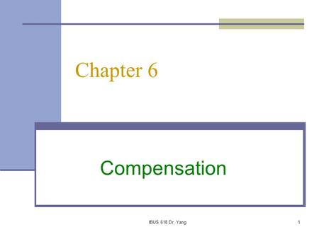 Chapter 6 Compensation IBUS 618 Dr. Yang.