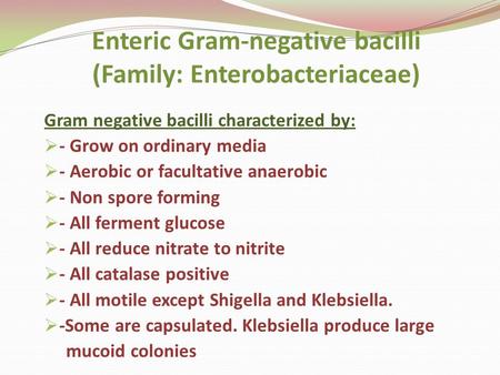 Enteric Gram-negative bacilli (Family: Enterobacteriaceae) Gram negative bacilli characterized by:  - Grow on ordinary media  - Aerobic or facultative.