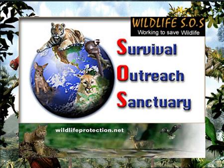 World Wide Fund for Nature WWF has worked to protect endangered species.
