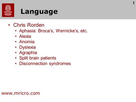 1 Language Chris Rorden Aphasia: Broca’s, Wernicke’s, etc. Alexia Anomia Dyslexia Agraphia Split brain patients Disconnection syndromes www.mricro.com.
