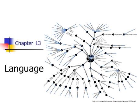 Chapter 13 Language